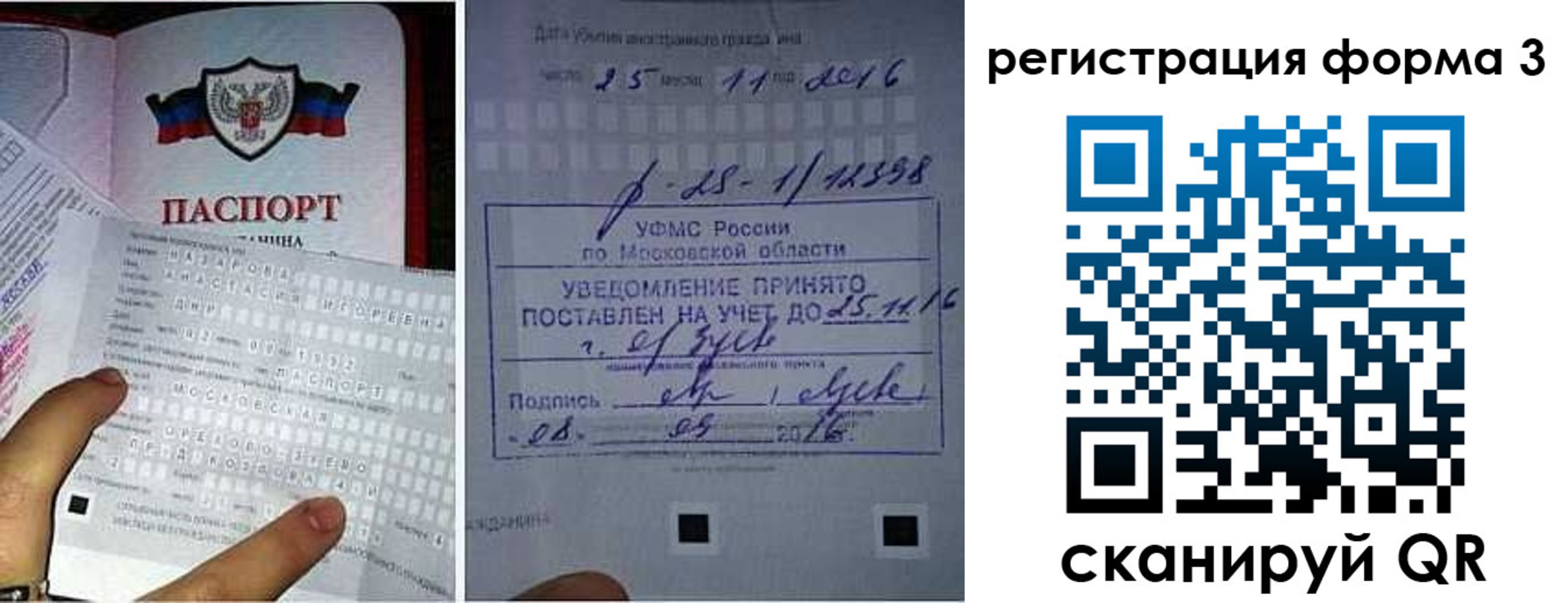 прописка в квартире в Курской области